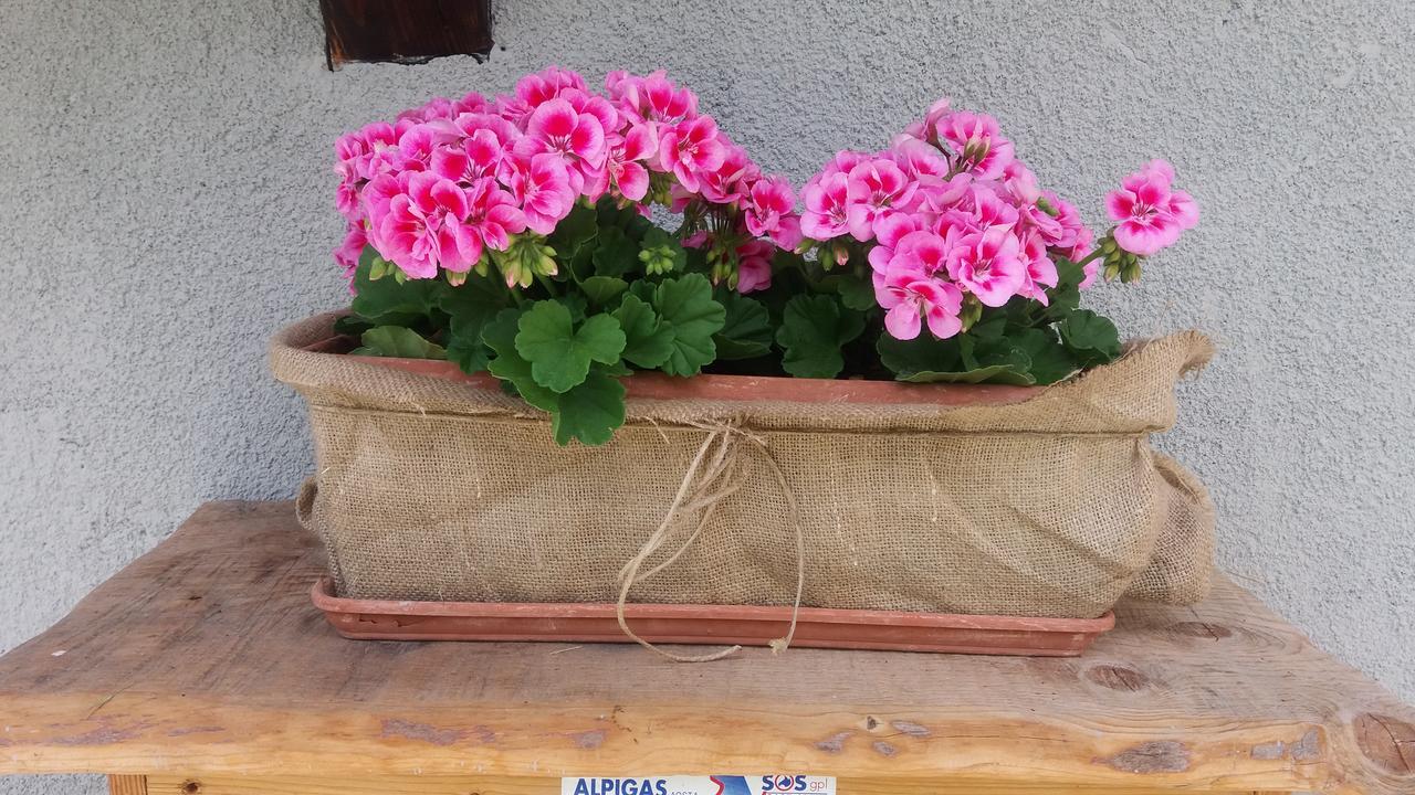 Maison Des Abeilles Vda Gressan N 0028 エクステリア 写真